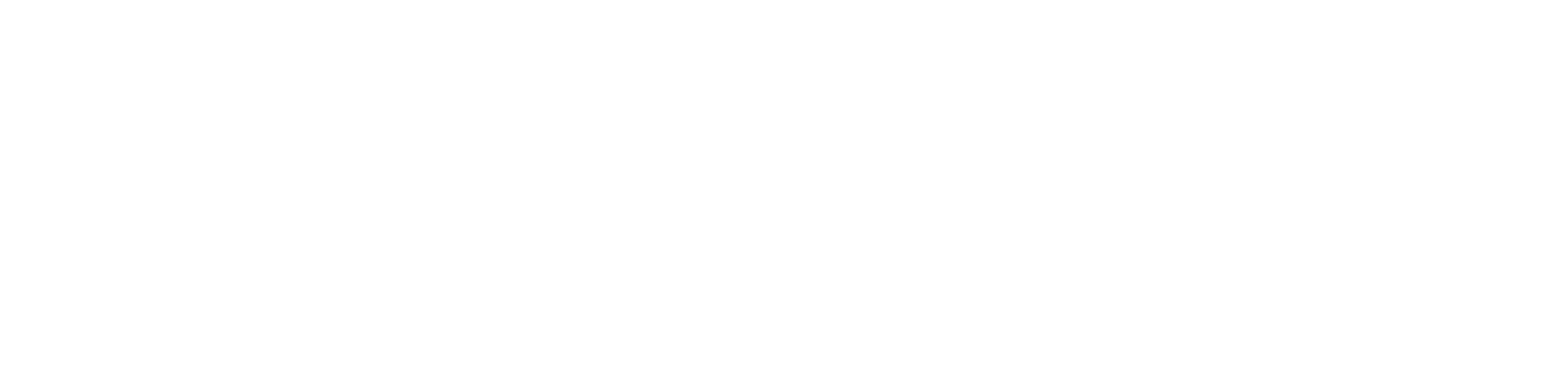Wed Systems Logo